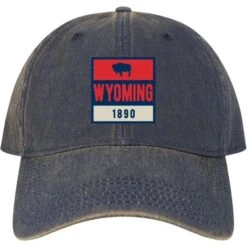 Wyoming State Flag Old Favorite Adjustable Hat – Navy