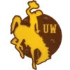 Wyoming Cowboys Bucking Horse Hitch Cover – Brown/Gold