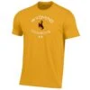 UA Wyoming Cowboys Performance S/S Tee – Steel Gold